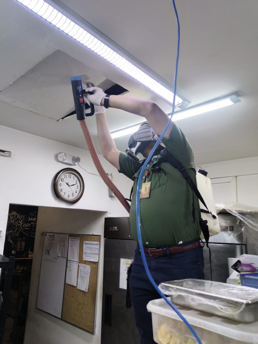 Técnico de control de plagas trabajando en el cielo raso de un espacio de alimentos